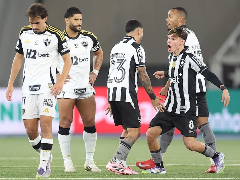 Botafogo de Futebol e Regatas
